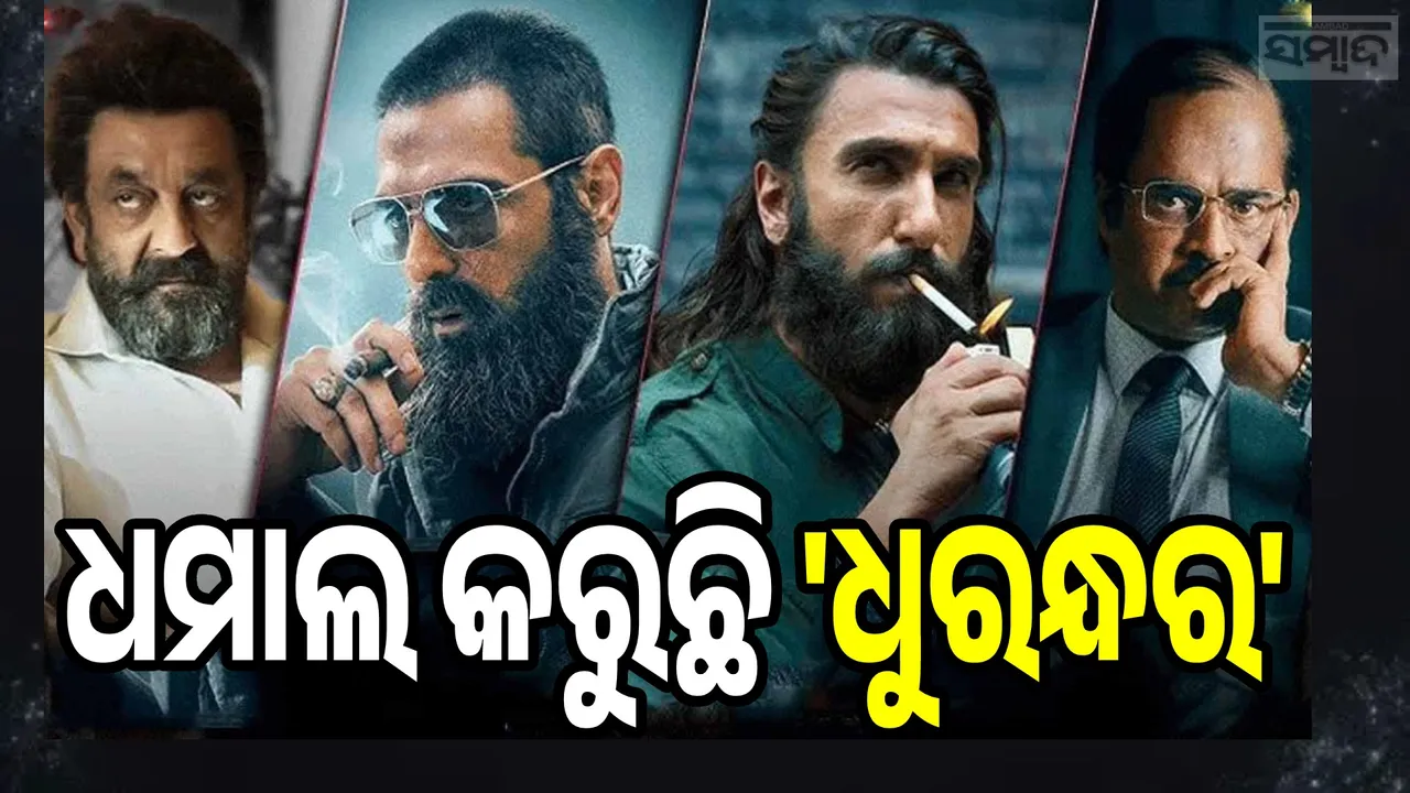  Dhurandhar Box Office Collection Photograph: (sambad.in) 