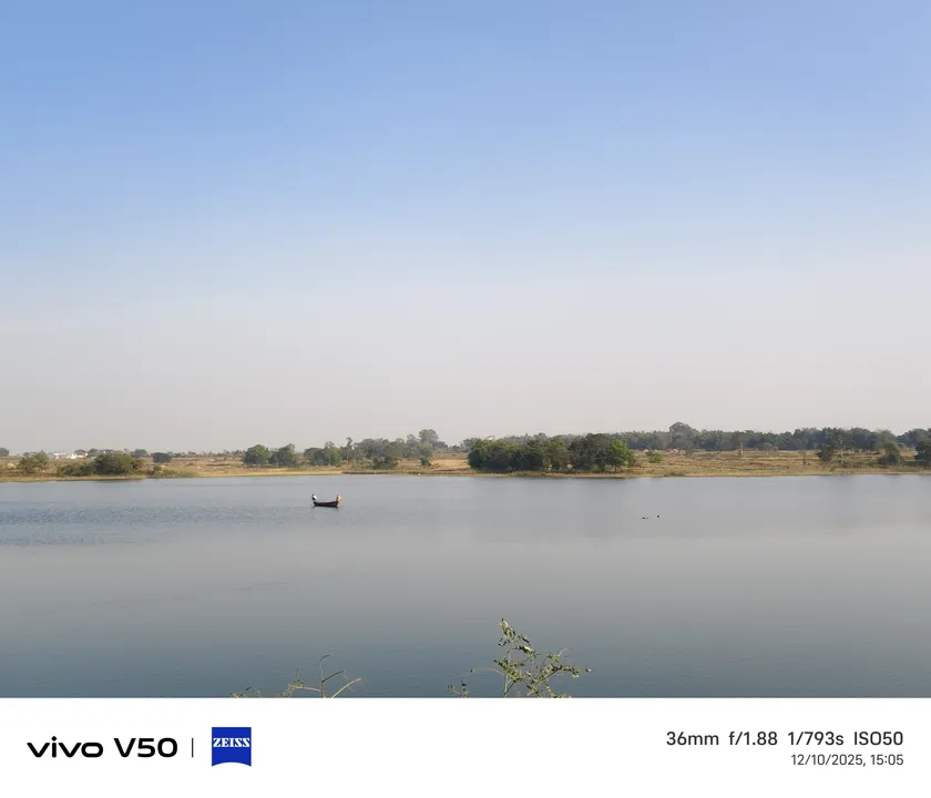  Rajgangpur bird. Photograph: (sambad.in) 