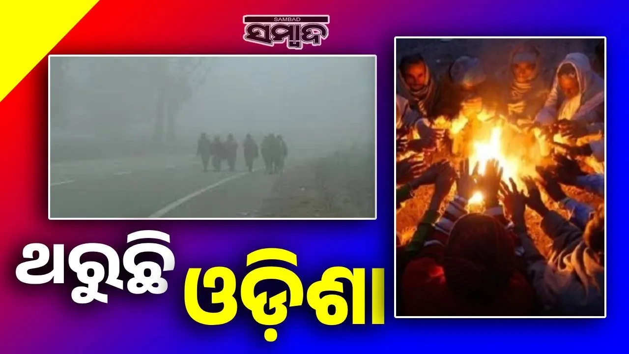  Winter chill hits hands and feet Photograph: (sambad.in) 