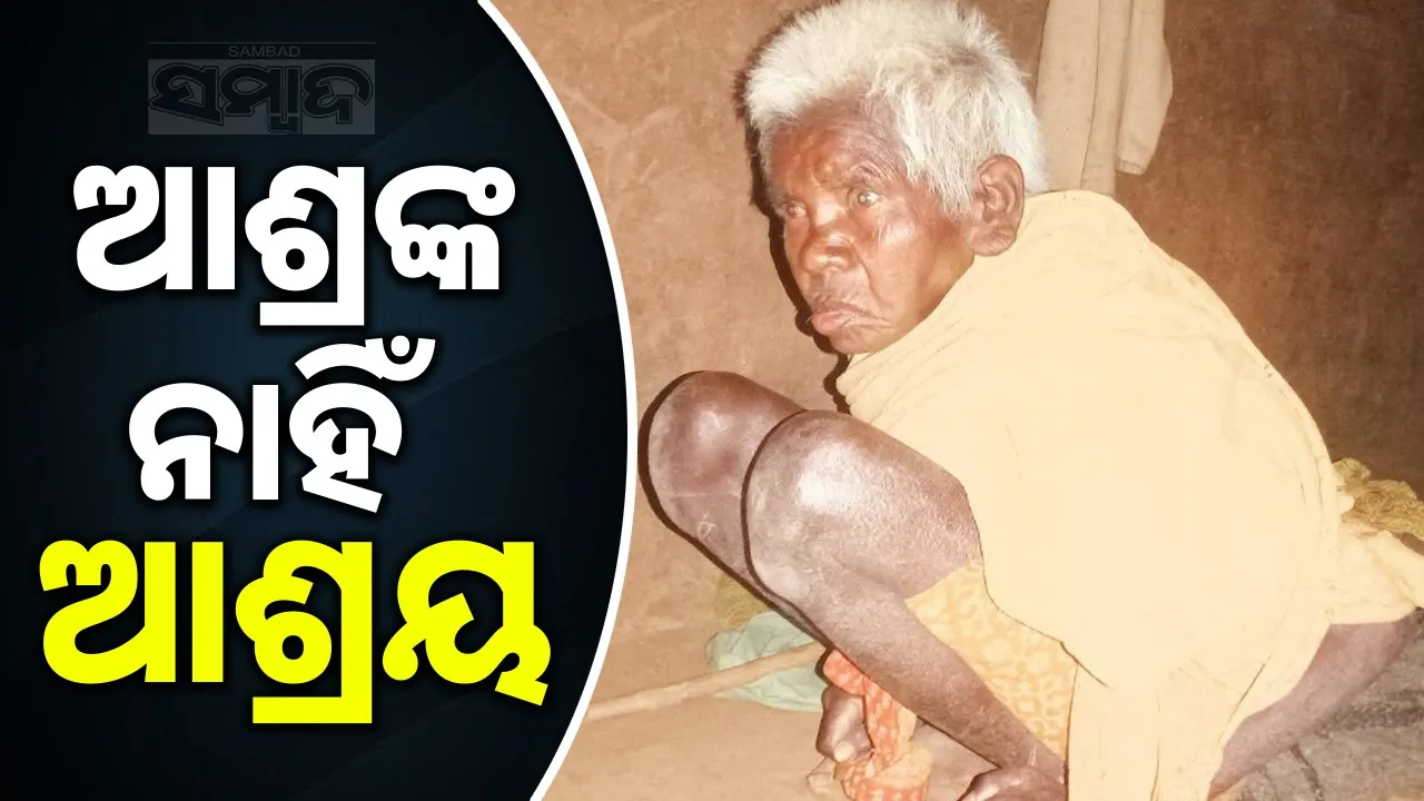  Ashra needs home. Photograph: (sambad.in) 