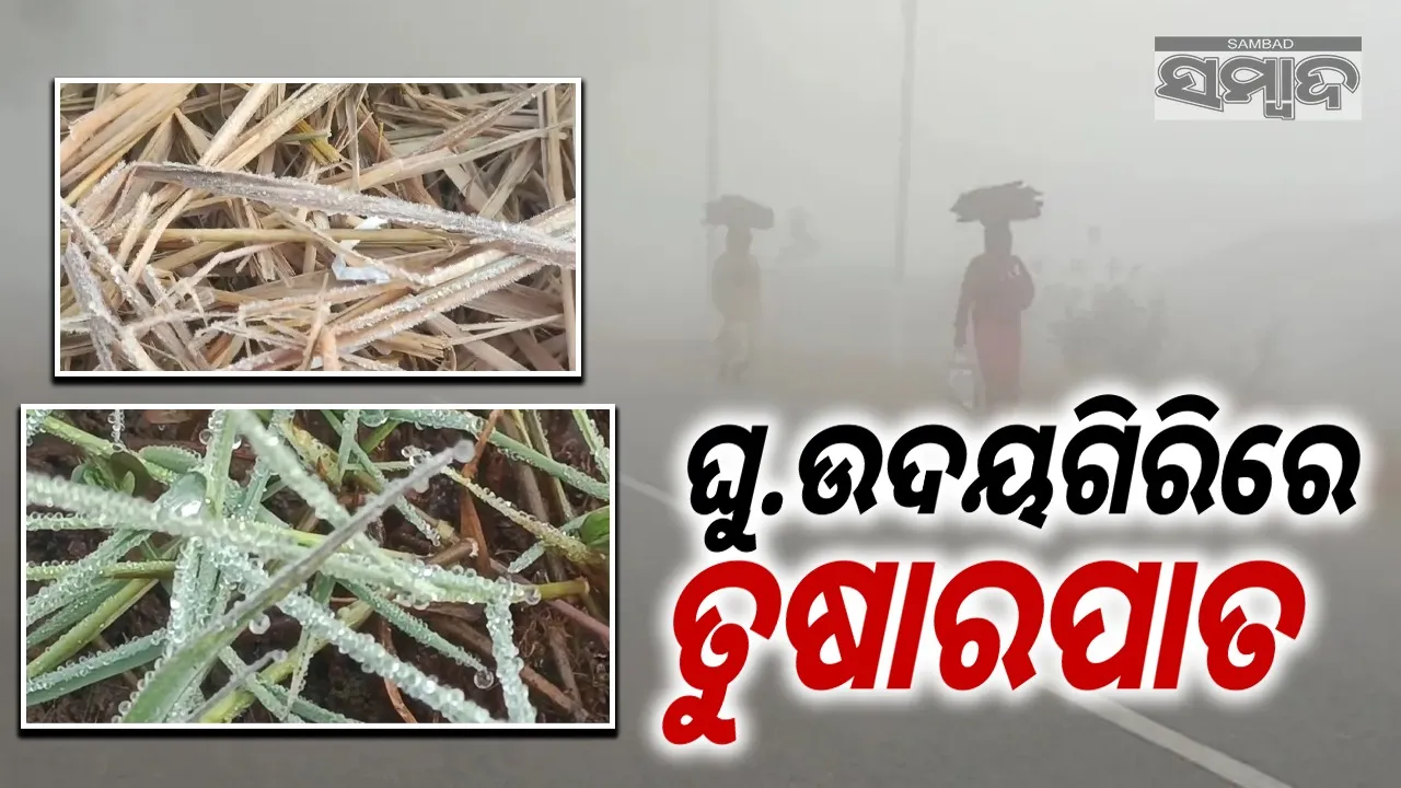  Cold wave in the state Photograph: (sambad.in) 