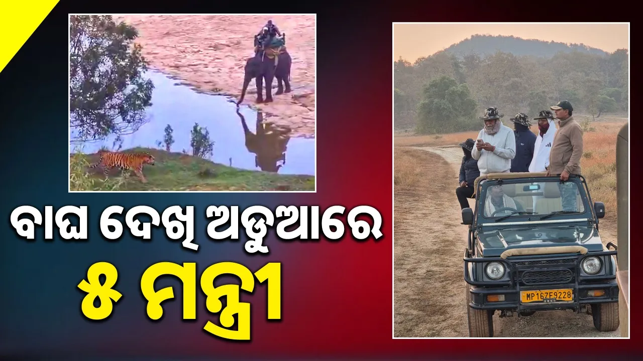  violation of law in Panna Tiger Reserve Photograph: (sambad.in) 