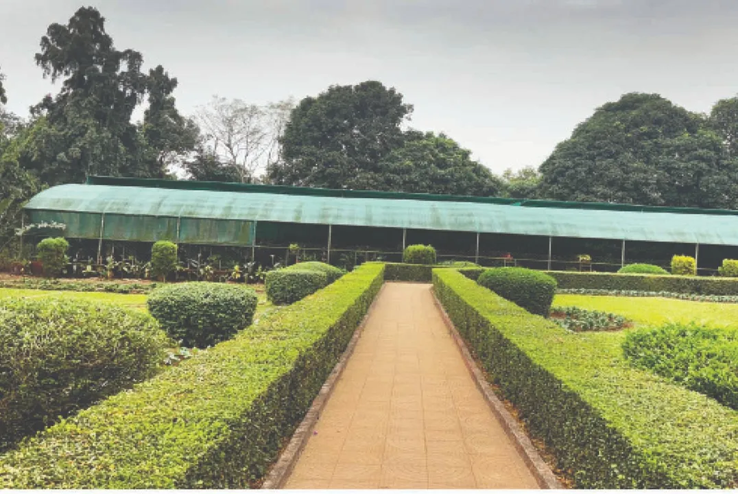  State Botanica: ରାଜ୍ୟ ଉଦ୍ଭିଦ ଉଦ୍ୟାନ, ବୁଲି ହେଉଛି ବଣଭୋଜିକୁ ନା