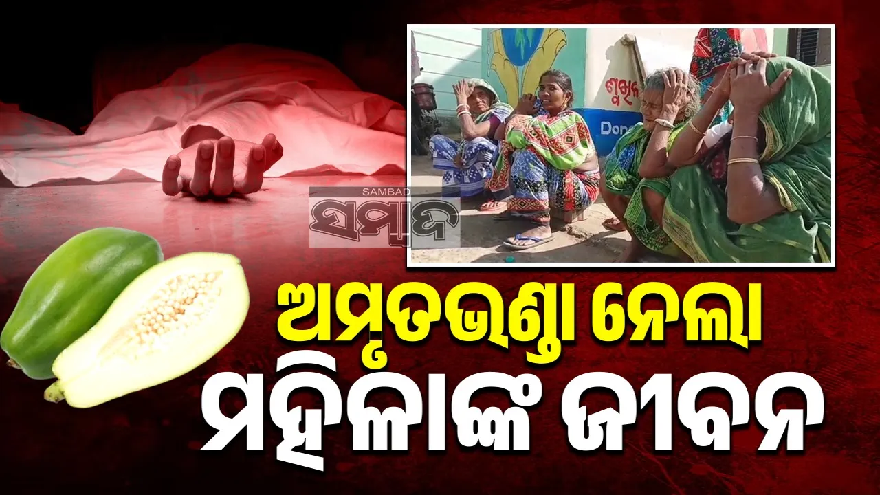  Baliguda woman killed after fall papaya on her. Photograph: (sambad.in) 