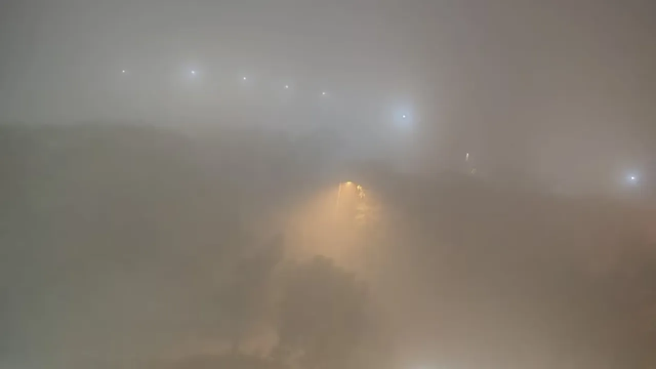  Dense fog in Delhi on Thursday morning. Photograph: (Aajtak) 