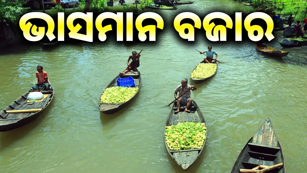  Photograph: (google) 