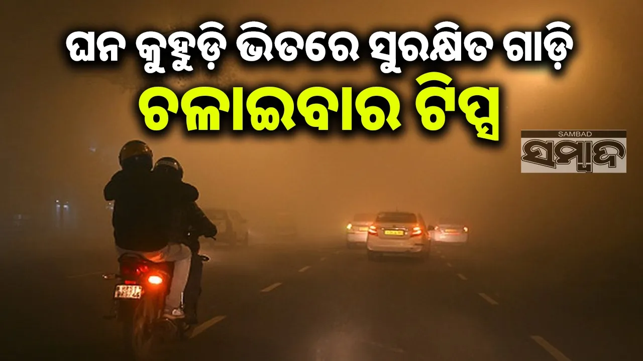  Fog Tips Photograph: (sambad.in) 