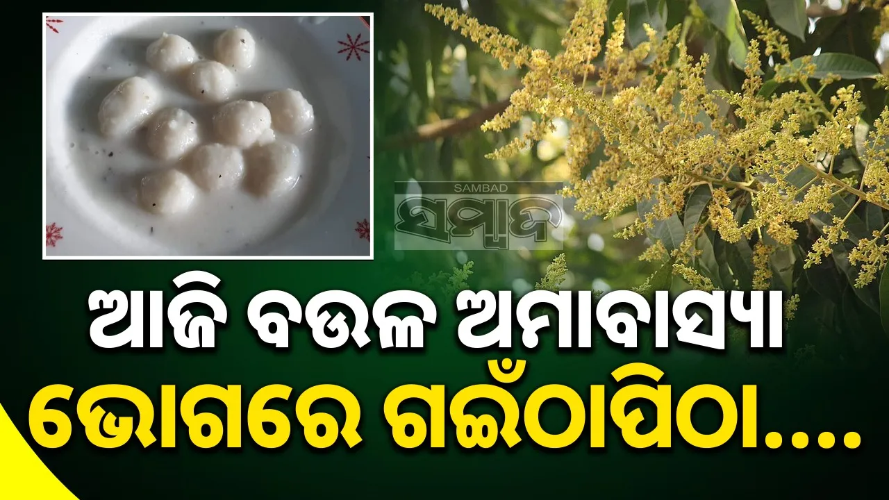  Photograph: (google) 