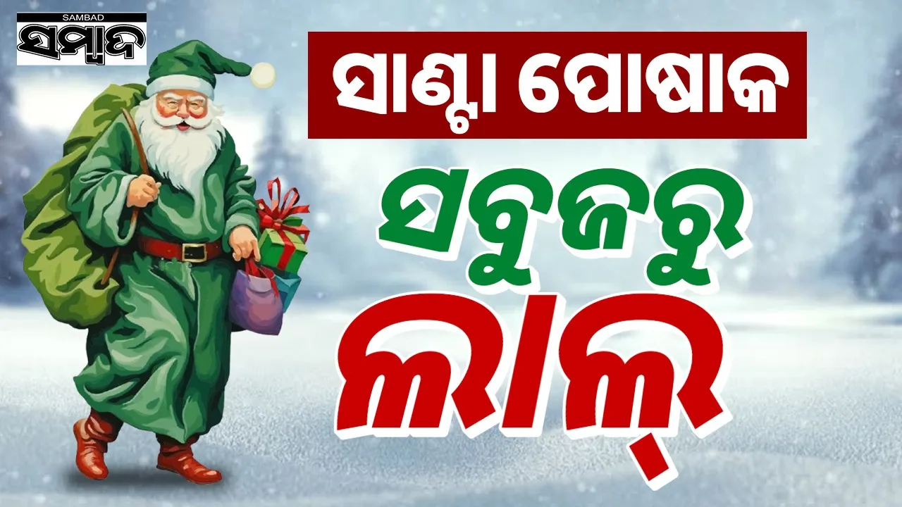  Photograph: (google) 