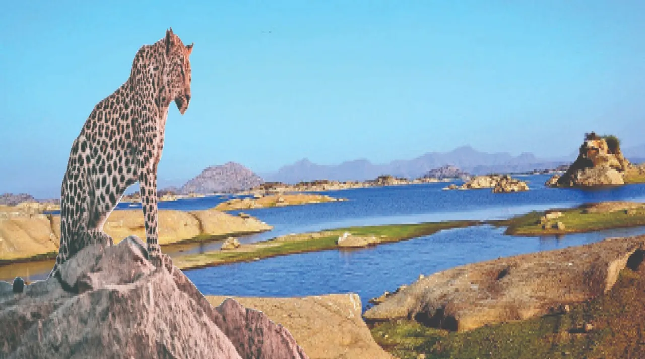  Rajasthan: ବୁଲାବୁଲି: ରାଜସ୍ଥାନର ଗୁପ୍ତରତ୍ନ ଜୱାଈ