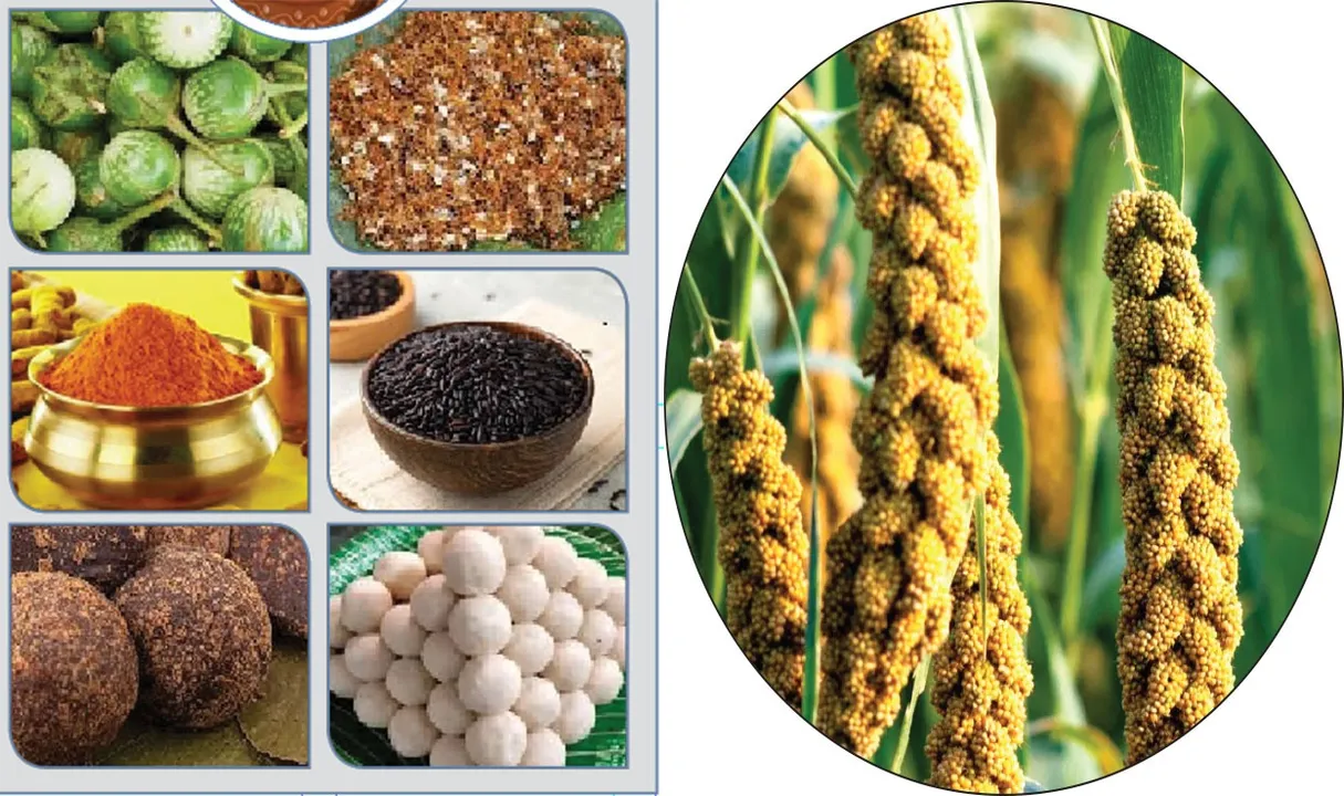  Memorable 25: ମନେରହିବ ୨୫: ମହକୁଛି ଓଡ଼ିଆ ଖାଦ୍ୟ