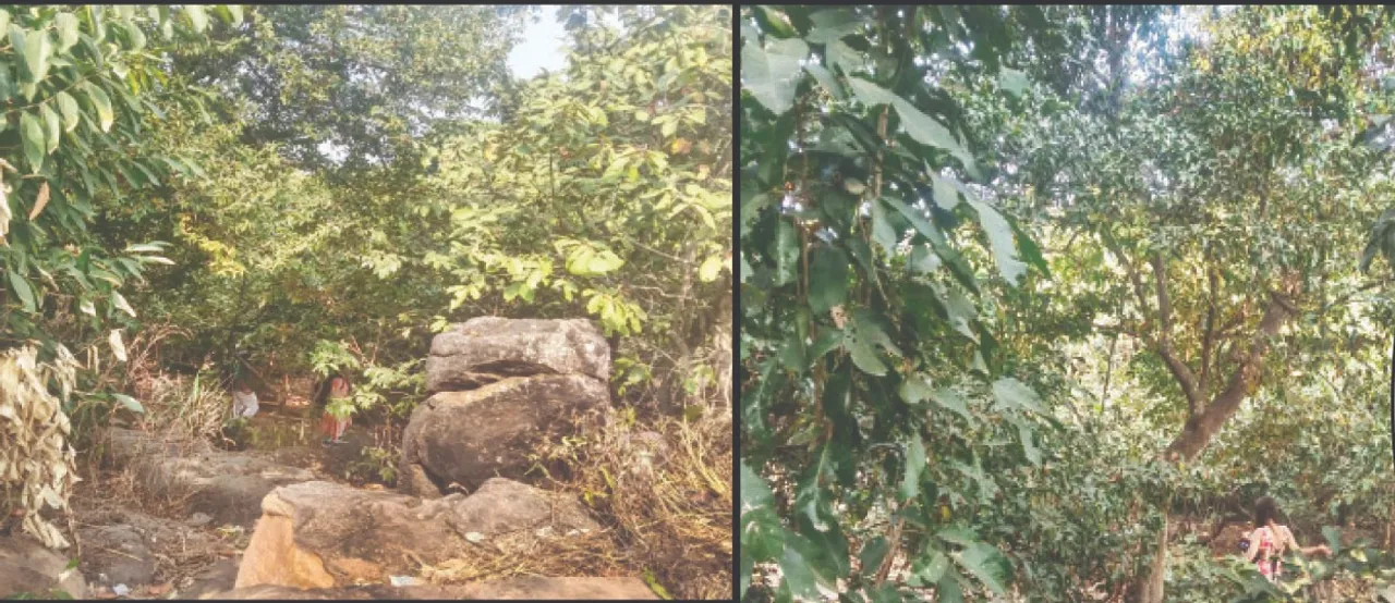  khandagiri-Udayagiri: ଖଣ୍ତଗିରି-ଉଦୟଗିରି ଐତିହ୍ୟ ସ୍ଥଳ: ପର୍ଯ୍ୟଟକଙ୍କ ଚିନ୍ତା ବଢ଼ାଉଛି ସୁରକ୍ଷା ବ୍ୟବସ୍ଥା