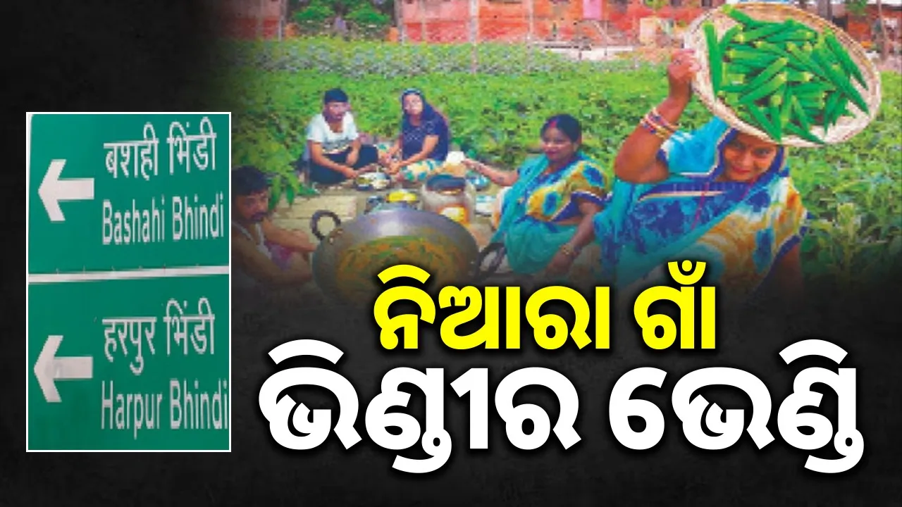  special/unique-village-bhindir-vendi 