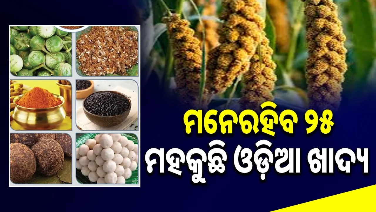  memorable-25-odia-food-of-mahkuchhi 