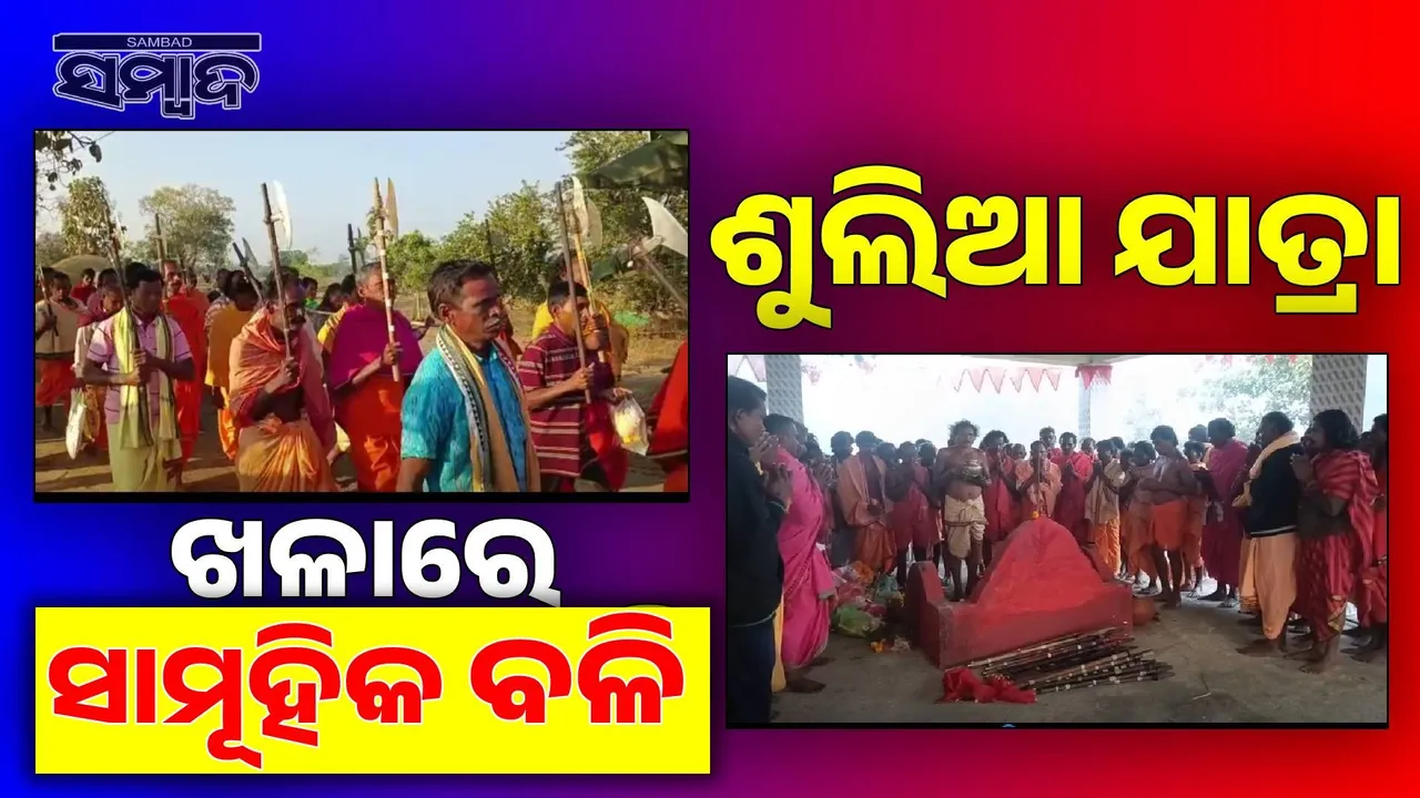  Sulia Yatra Photograph: (sambad.in) 