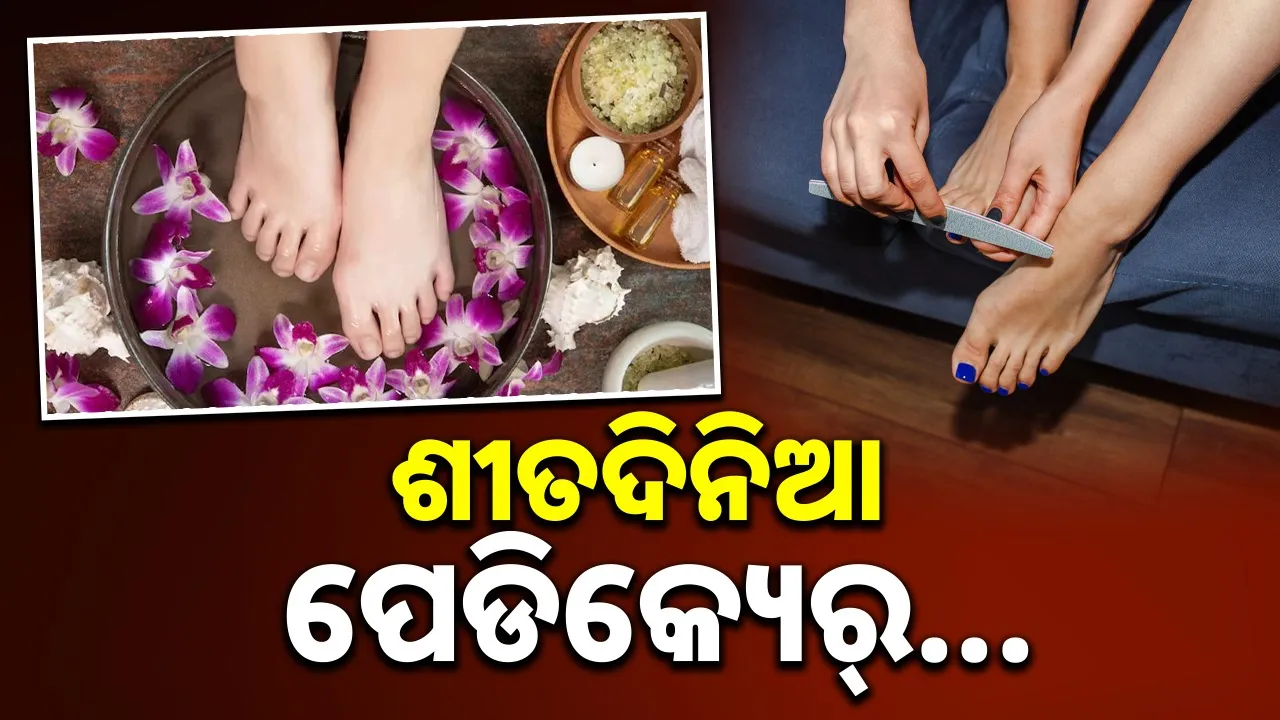  Photograph: (google) 