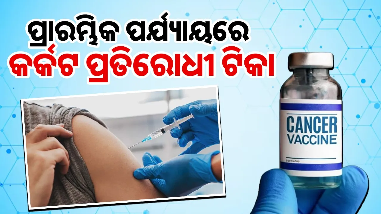  Photograph: (google) 