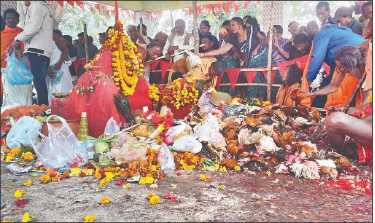  The Shulia Pitha: ରକ୍ତରେ ଲାଲ୍‌ ହେଲା ଶୁଲିଆ ପୀଠ