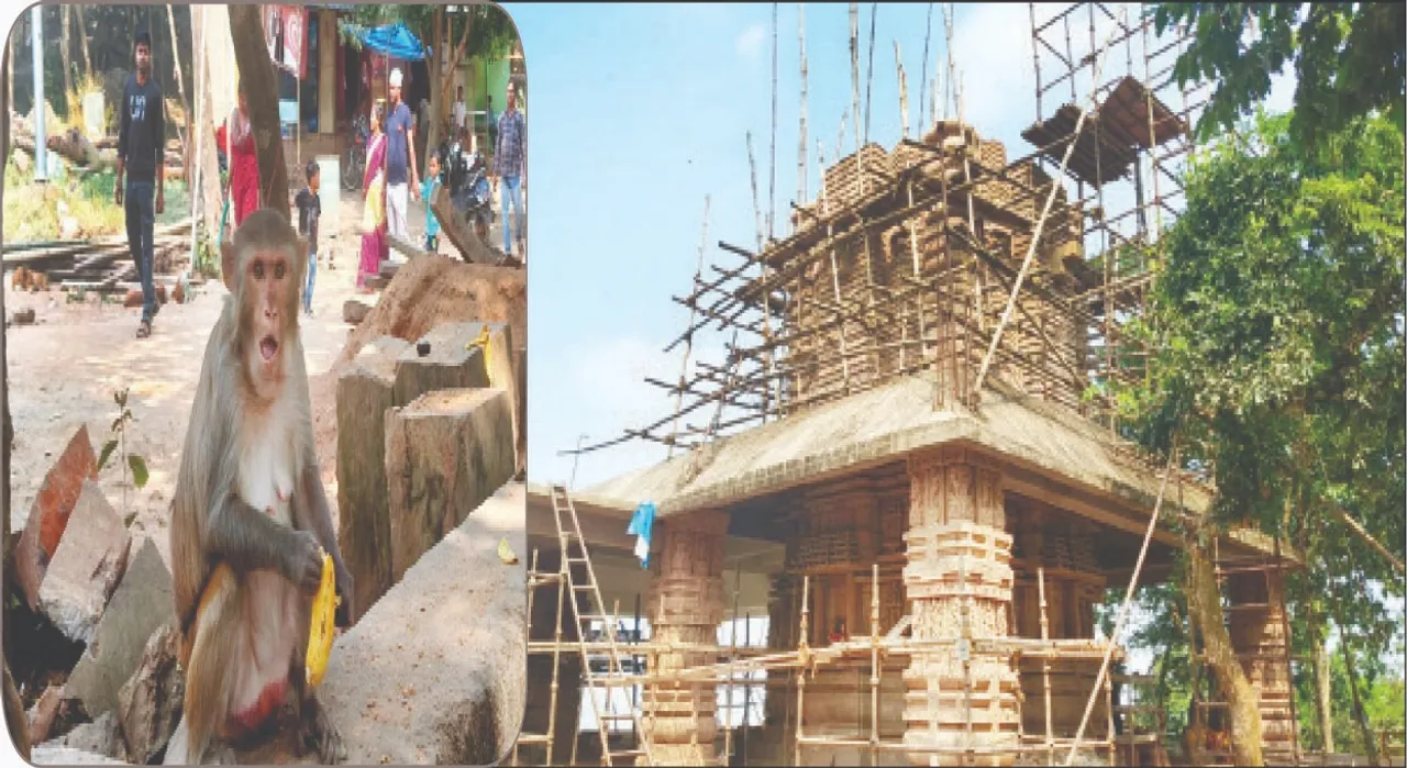  Shikhar Chandi: ଶିଖରଚଣ୍ଡୀରେ ସେଲିବ୍ରେସନ୍‌ ମୁଡ୍‌: ଅସଜଡ଼ା ଭିତ୍ତିଭୂମିକୁ ପିକ୍‌ନିକ୍‌ ପାର୍ଟିଙ୍କ ଫୁ