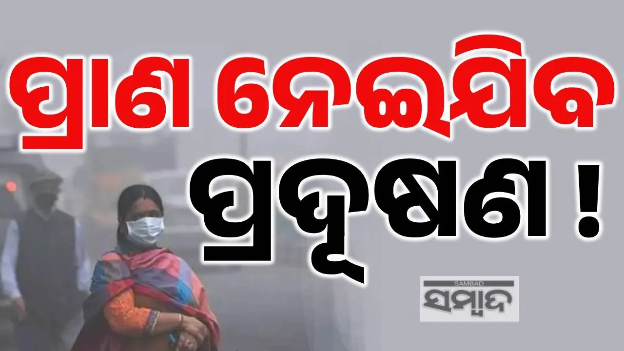  Delhi Pollution Photograph: (Sambad.in) 