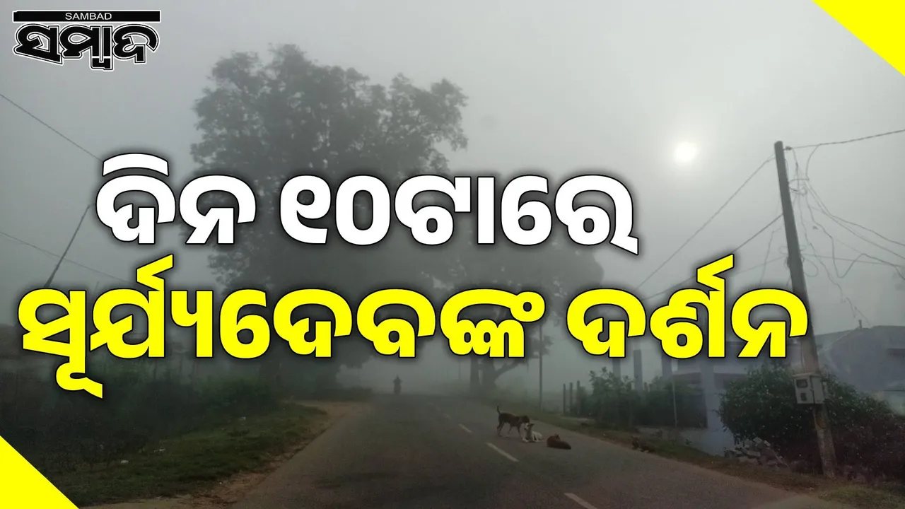  Under a blanket of dense fog Photograph: (sambad.in) 