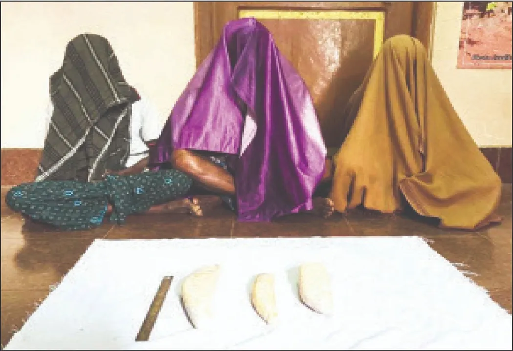  Elephant: ମୃତ ହାତୀ ହାଡ଼ରୁ ନକଲି ଦାନ୍ତ ପ୍ରସ୍ତୁତ ଘଟଣା: ଆଉ ୩ ଶିକାରୀ ଗିରଫ, ୩ କଳଦାନ୍ତ ଜବତ