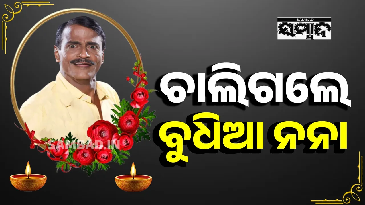  budhia nana Jatra Photograph: (sambad.in) 