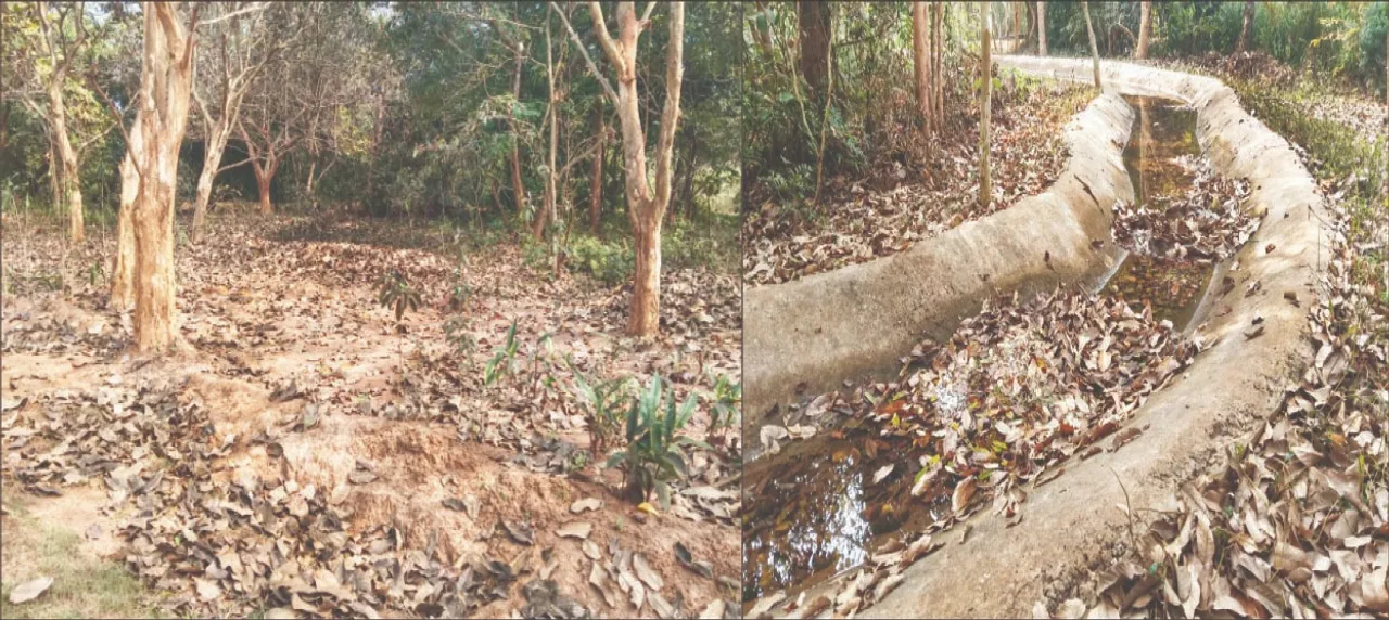  Anandabana: ୨ବର୍ଷରେ ଶ୍ରୀହୀନ ଆନନ୍ଦବନ: ପତ୍ରରେ ପୋତି ହୋଇଗଲା କୃତ୍ରିମ ନଈ