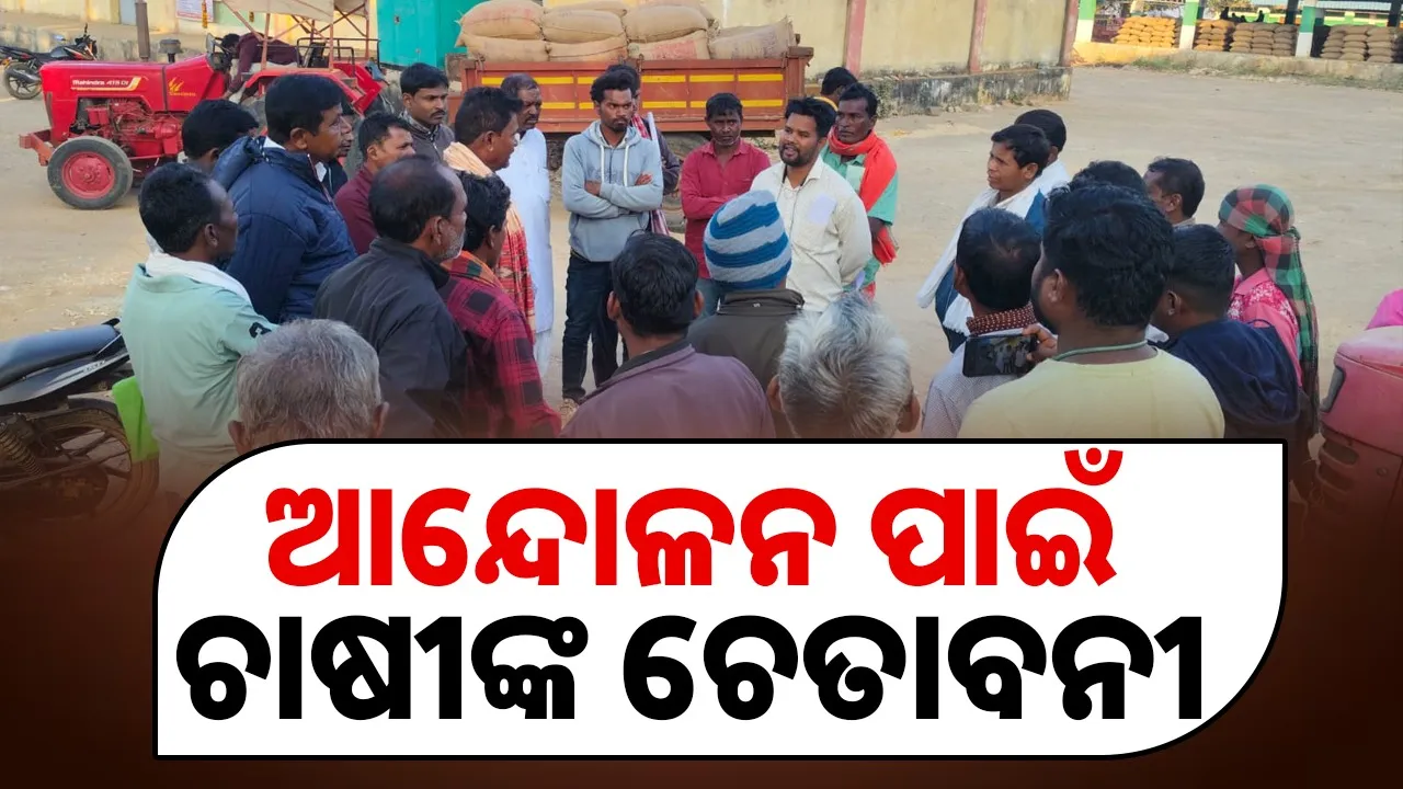  Farmers warn of agitation as paddy is not available in Jharigaon Dhan Mandi Photograph: (sambad.in) 