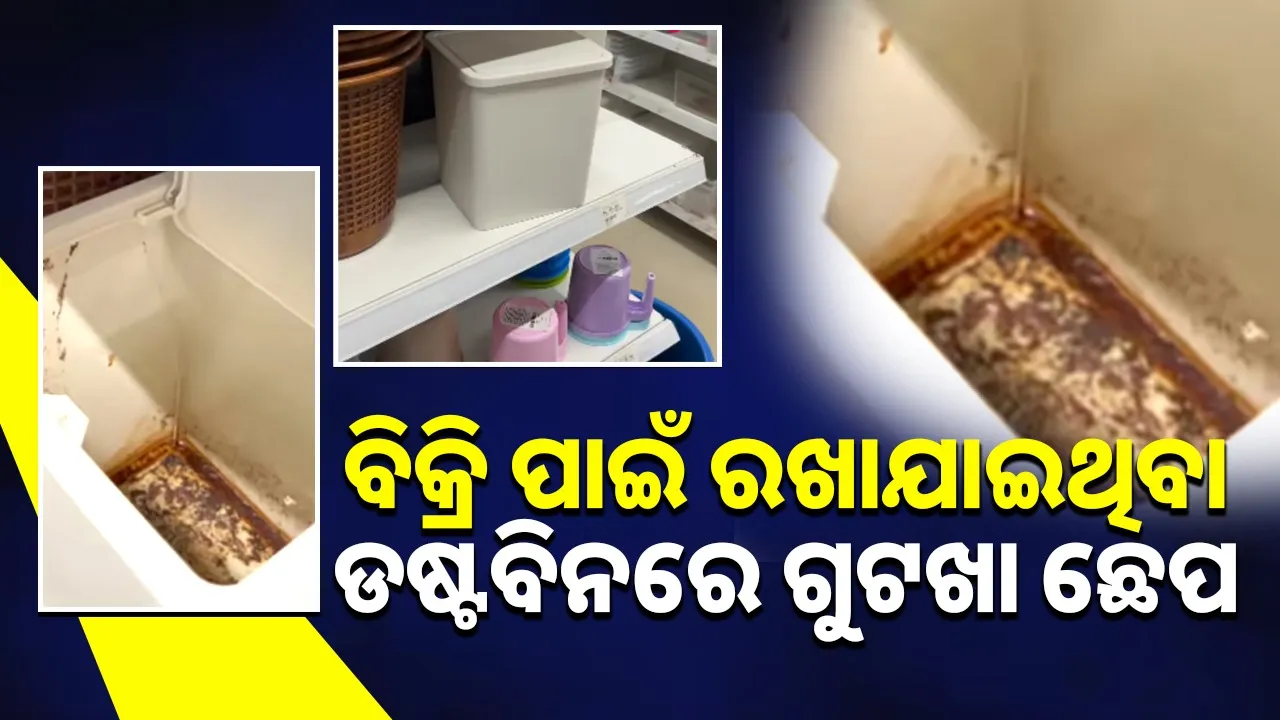  Gutka Stained Dustbin On Sale Photograph: (sambad.in) 