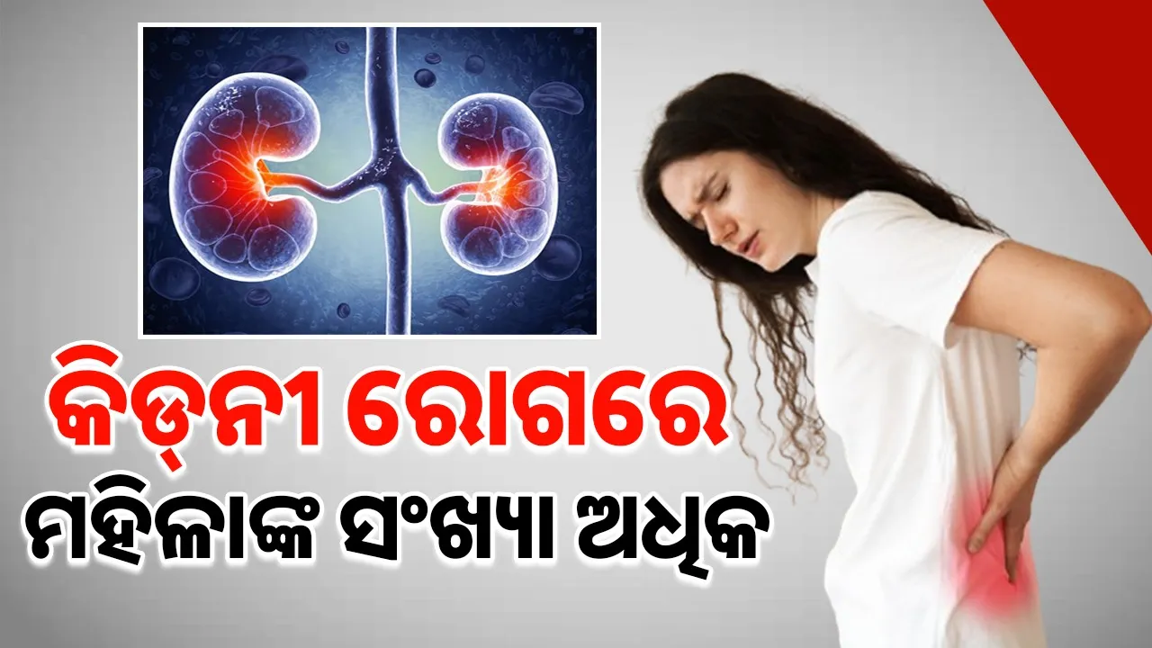  Photograph: (google) 