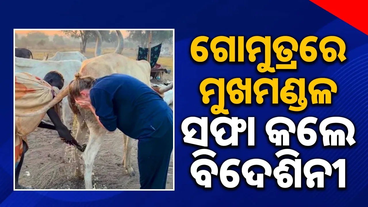  tourist-washes-face-with-cow-urine Photograph: (@sambad.in) 