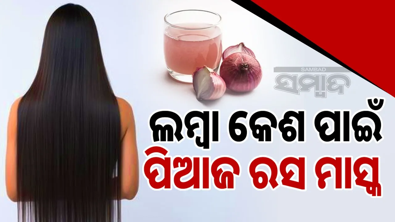  Photograph: (google) 