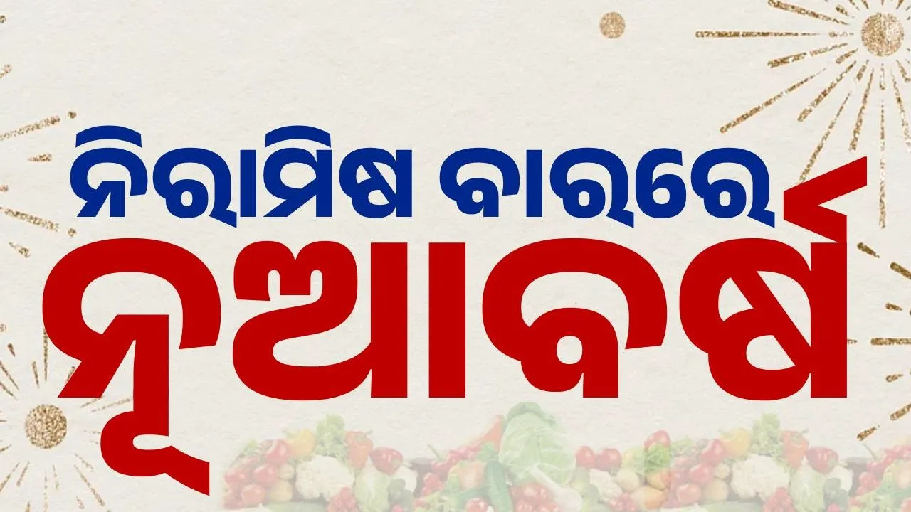  Zero Night Celebration Photograph: (SAMBAD.IN) 