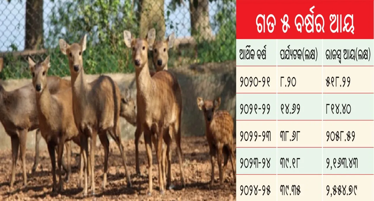  Nandankanan: ଜଙ୍ଗଲକୁ ହରିଣ ଯୋଗାଉଛି ନନ୍ଦନକାନନ: ଗୋଟିଏ ବର୍ଷରେ ୩୫୬ ହରିଣକୁ ଛଡ଼ାଯାଇଛି