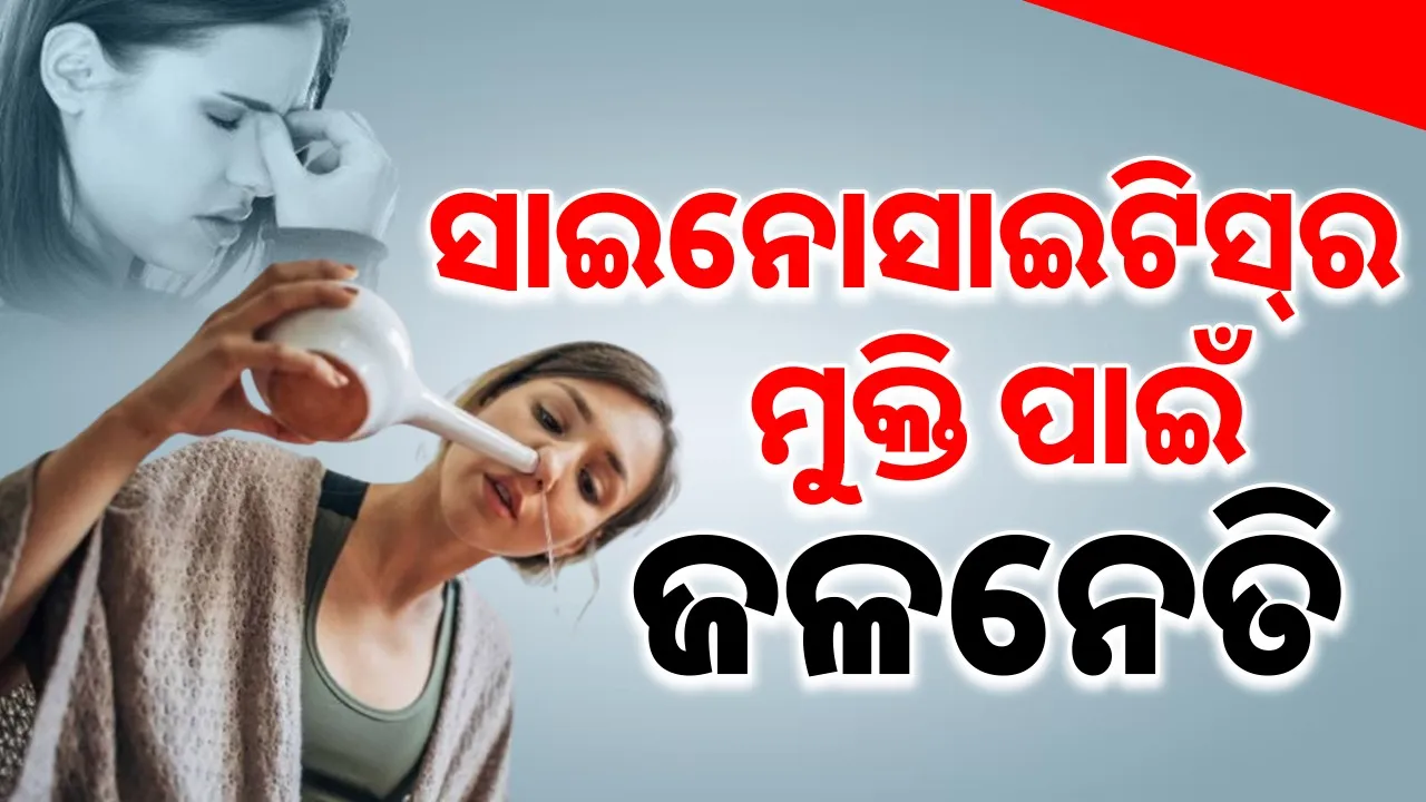  Photograph: (google) 