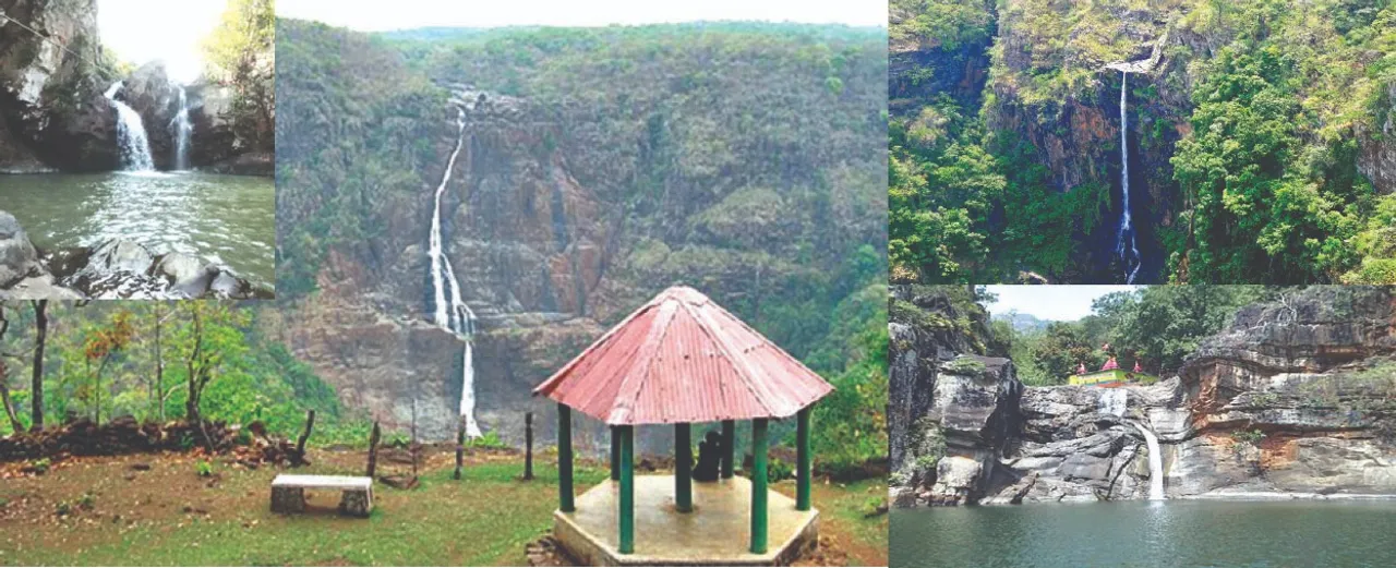  ବୁଲାବୁଲି: ଶିମିଳିପାଳରେ ବଣଭୋଜି