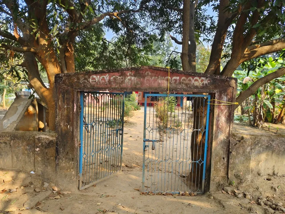  Elephant in government schoool Photograph: (Sambad.in) 