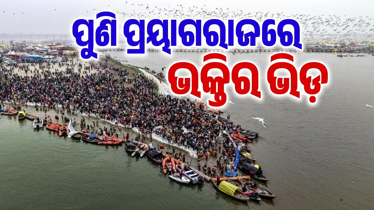  Magh Mela 2026 Photograph: (sambad.in) 