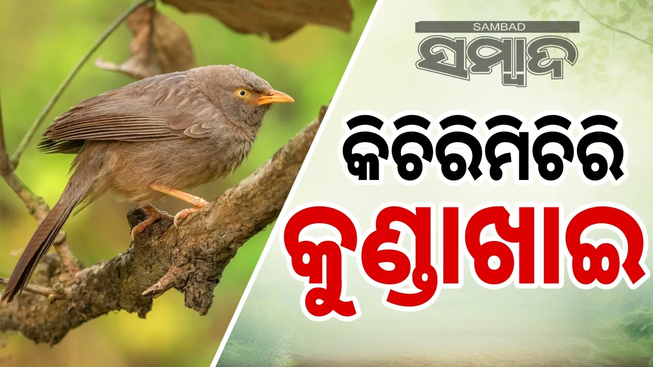  Photograph: (sambad.in) 