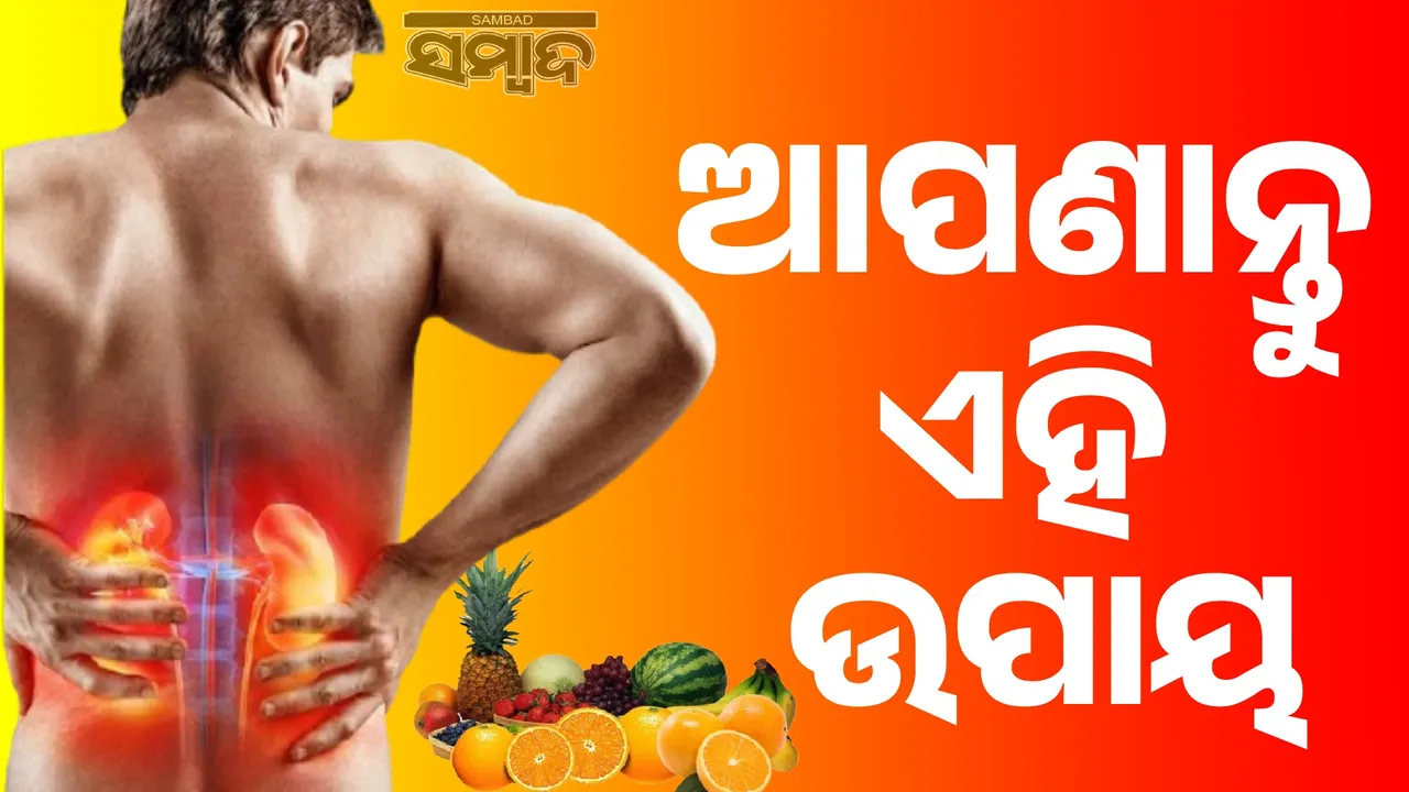  Follow these steps and your kidneys will stay healthy Photograph: (sambad.in) 