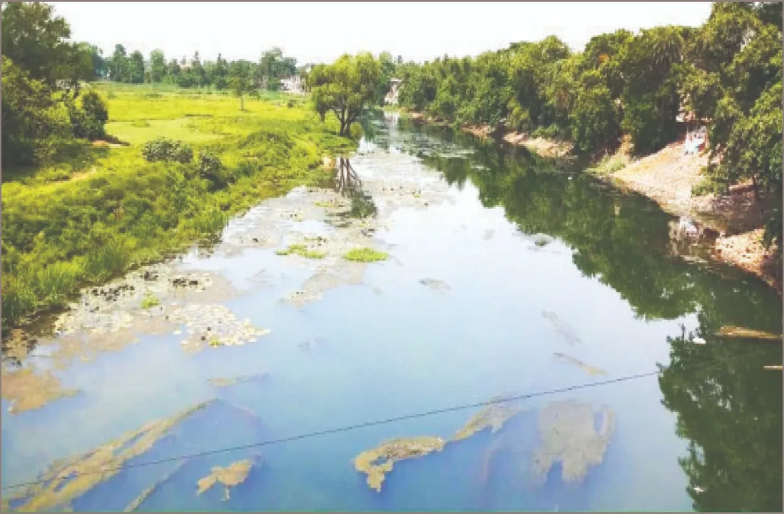  The river has dried up: ଶୁଖିଲା ପଡ଼ିଛି ସାଳନ୍ଦୀ: ନଦୀବନ୍ଧ ନିର୍ମାଣ ଓ ସୌନ୍ଦର୍ଯ୍ୟୀକରଣକୁ ଅଣଦେଖା, ଆଖୁ ଓ ପରିବା ଚାଷ ପାଇଁ ପାଣି ନିଅଣ୍ଟ