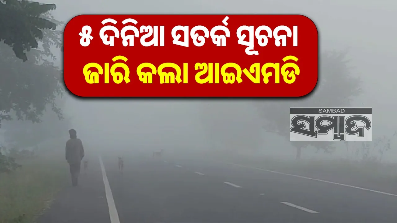  IMD issues fog warning Photograph: (sambad.in) 