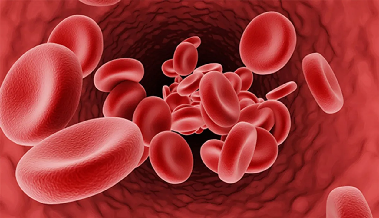  Thalassemia: ଥାଲାସେମିଆ-ରକ୍ତଶିକୁଳିମୁକ୍ତ ପାଇଁ ବଡ଼ ପଦକ୍ଷେପ: ଗର୍ଭସ୍ଥ ଶିଶୁର କୋରିଓନିକ୍ ଭିଲସ୍ ସାମ୍ପଲିଂ ପରୀକ୍ଷା