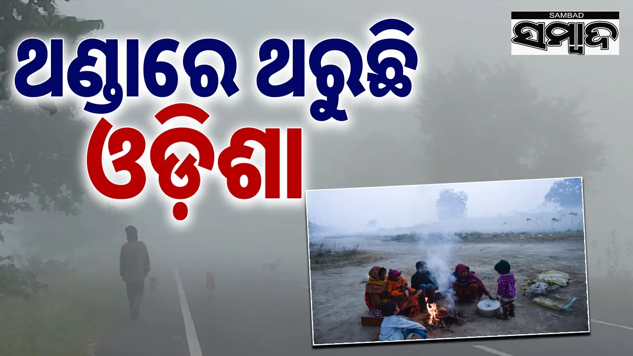  Cold wave in Odisha. Photograph: (sambad.in) 