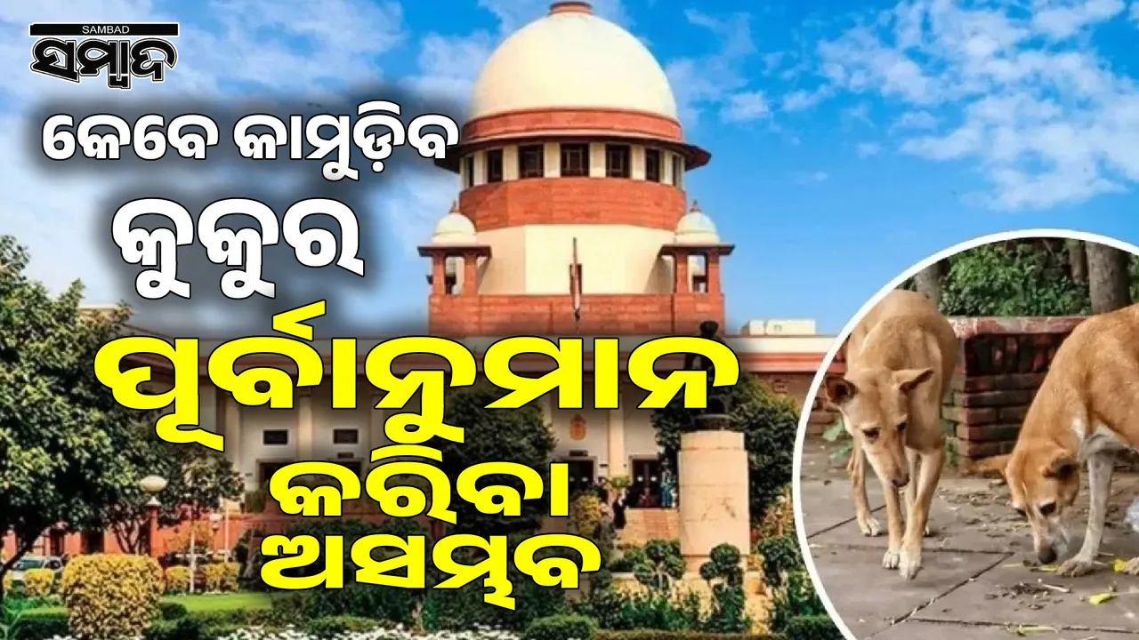  Supreme Court asks whether dogs should be counseled Photograph: (sambad.in) 