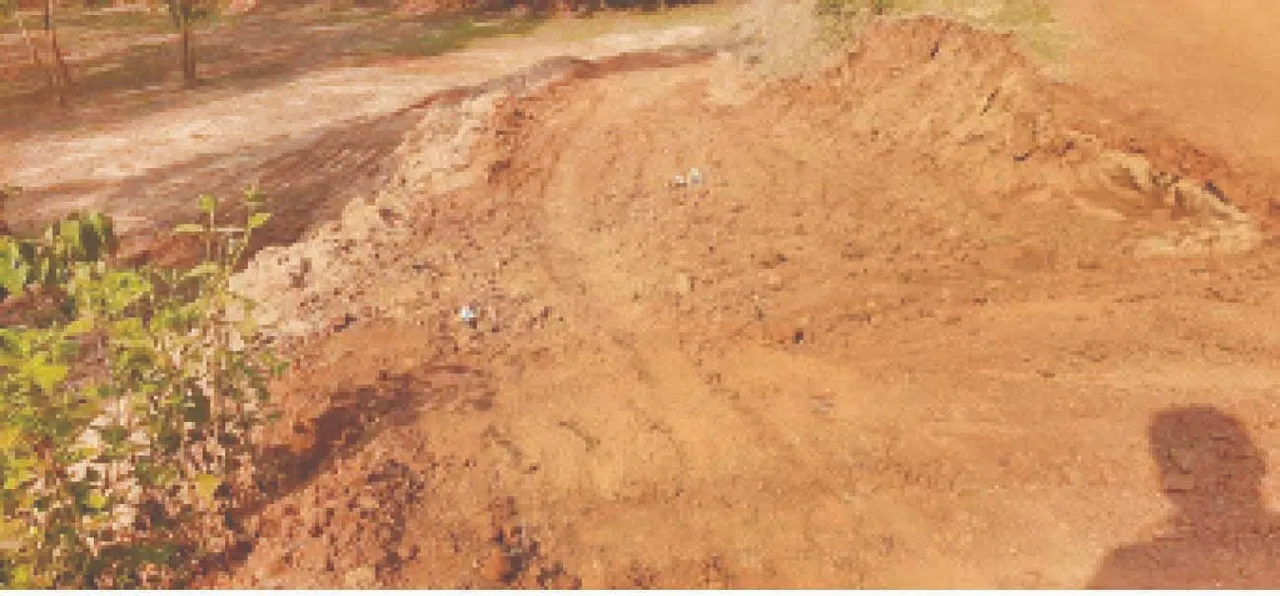  Sand loot: ବୈତରଣୀ ଗର୍ଭରୁ ବାଲି ଲୁଟ୍‌