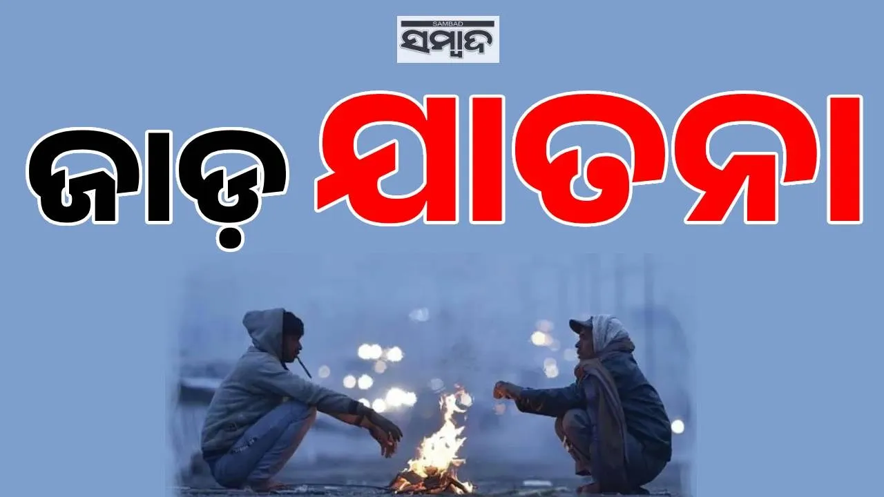  COLD WAVE Photograph: (Sambad.in) 