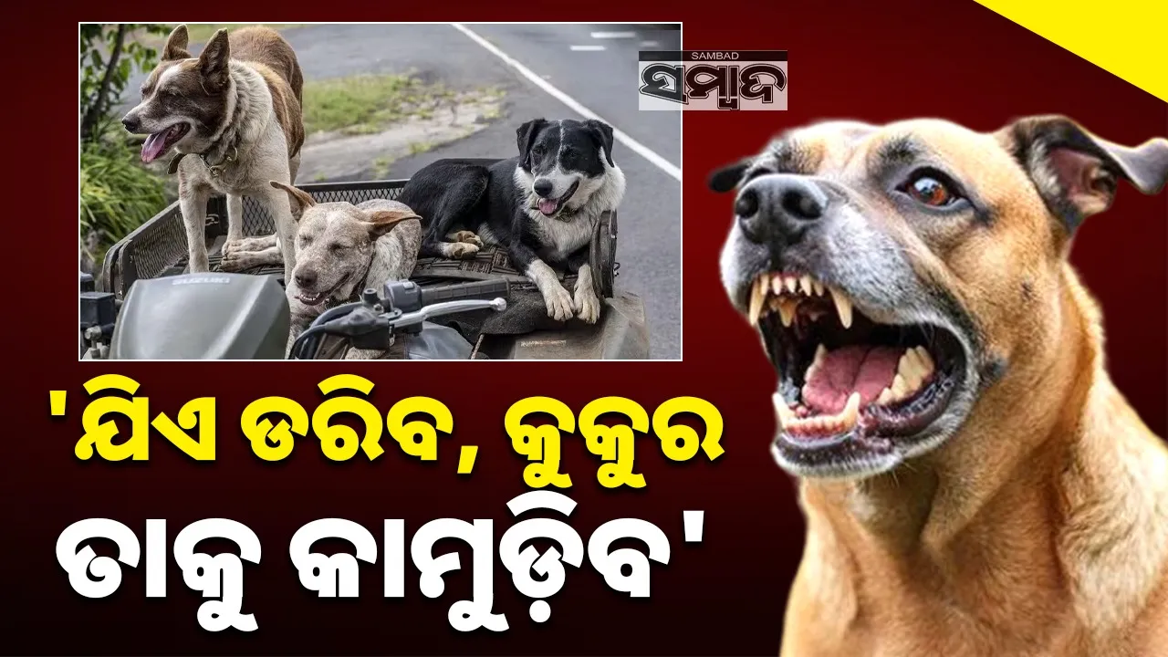  dog Photograph: (Photo: sambad.in) 