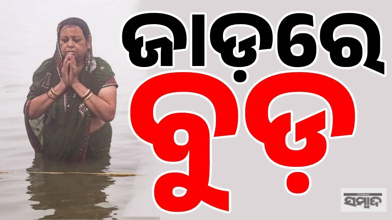  fog Photograph: (sambad.in) 